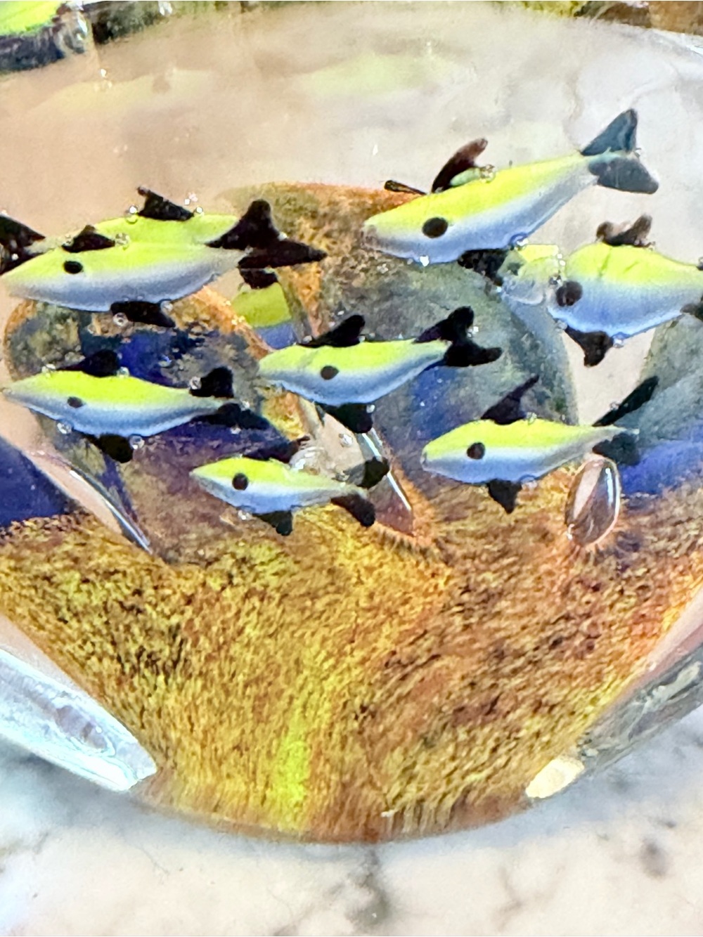 Hand-Blown Glass Fish Aquarium Sculpture - Yellow Blue Fish Design paperweight - Picture 4 of 8